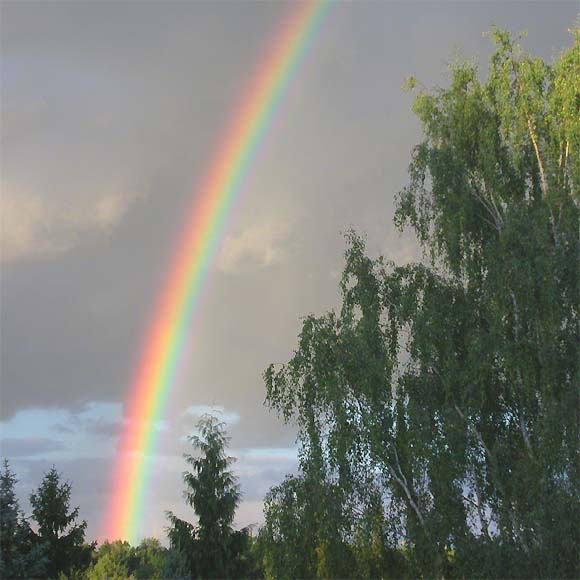 Regenbogen