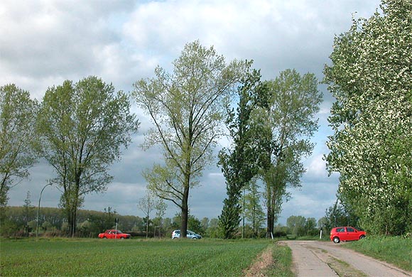 Berlin-Pankow, Ortsteil Blankenburg, Blankenburger Pflasterweg