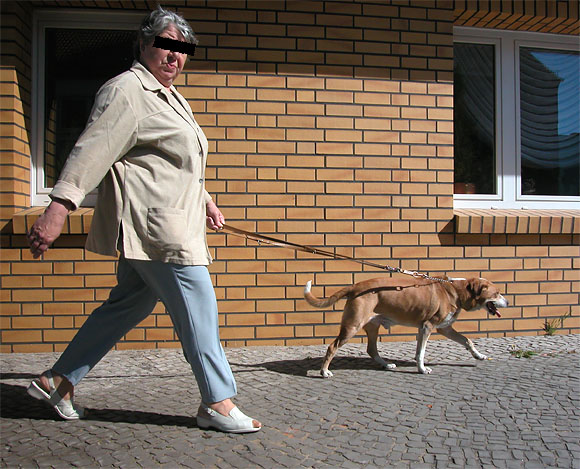 Frau mit Hund in Bewegung