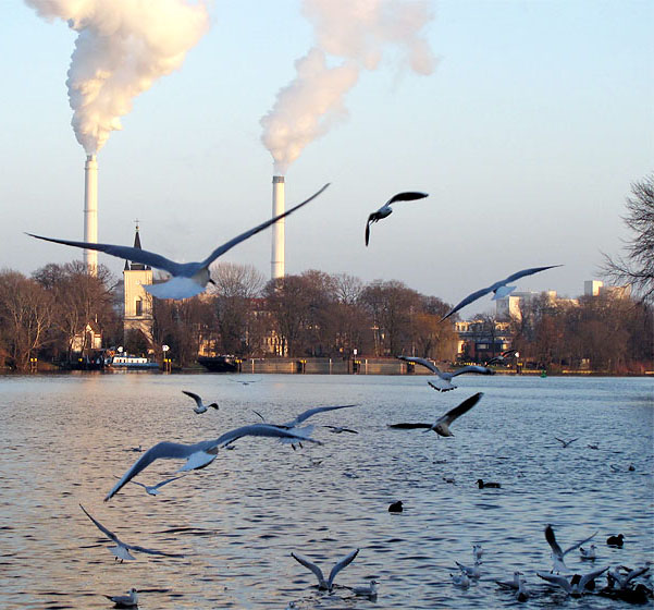 Spree: Alt-Treptow / Stralau: Blick zum Kraftwerk Klingenberg. M&ouml;wen fliegen.