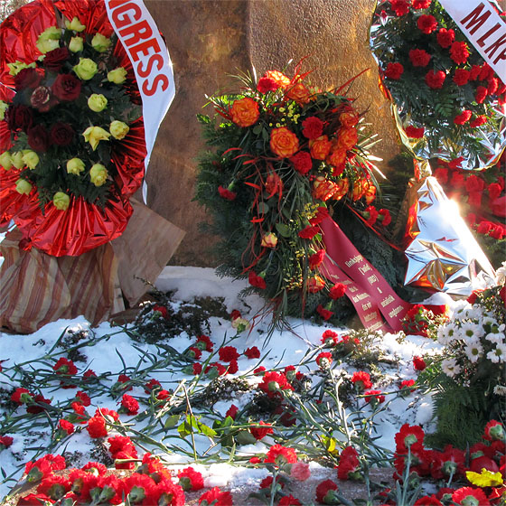 Liebknecht-Luxemburg-Demo (LL-Demo) 2009