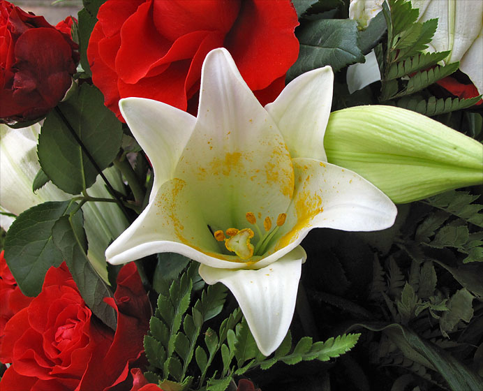 Rote Rosen und Lilien