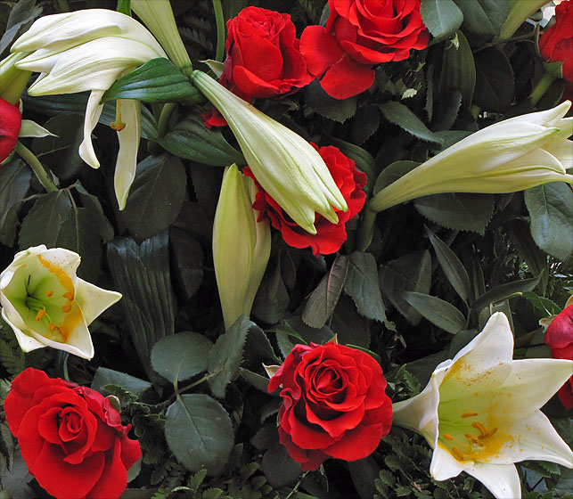 Rote Rosen und Lilien
