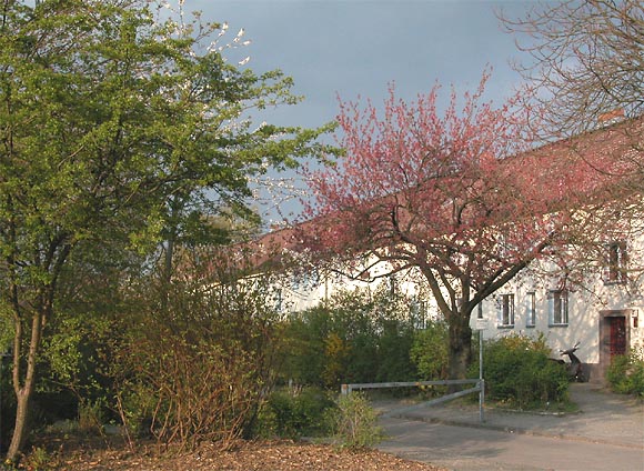 Wolfsburger Weg, Unwetter naht