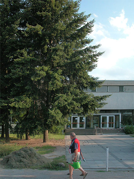 Wolfsburger Weg, Schätzelberg-Grundschule