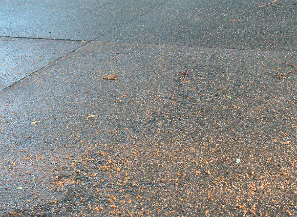 Wolfsburger Weg, Straßenbelag, Fahrbahn, nach Regen 