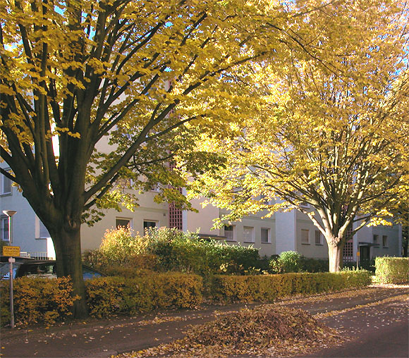 Wolfsburger Weg, Eckhaus Steinhellenweg in der Morgensonne