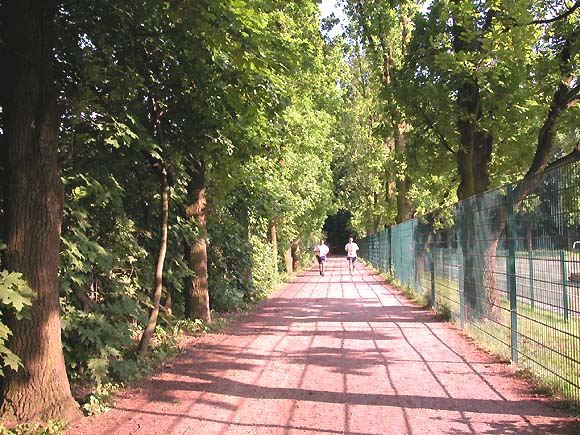 Volkspark Mariendorf: am Sportplatz