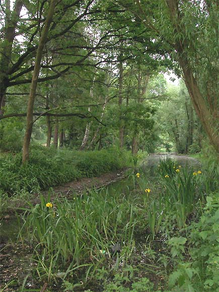Volkspark Mariendorf