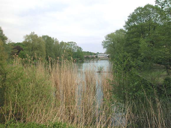 Volkspark Mariendorf